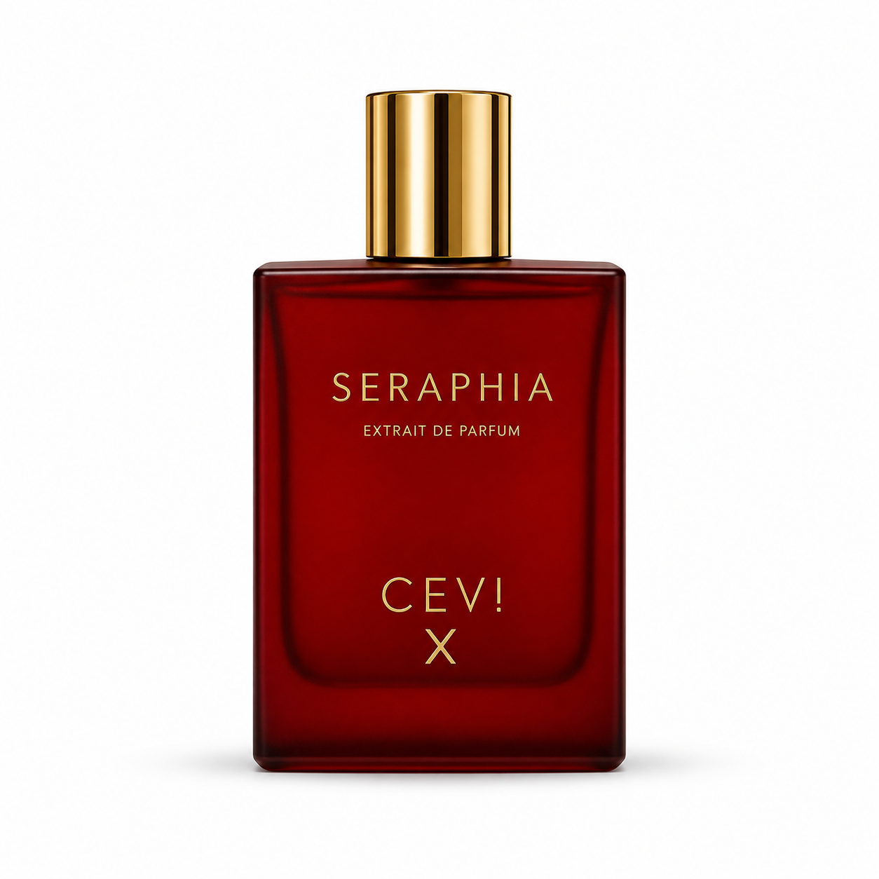 Cevi X Seraphia
